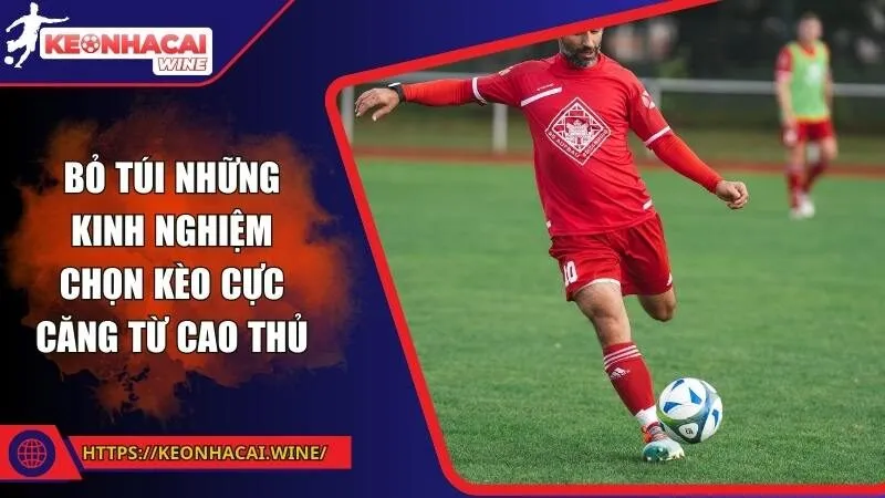 Bỏ túi những kinh nghiệm chọn kèo cực căng từ cao thủ