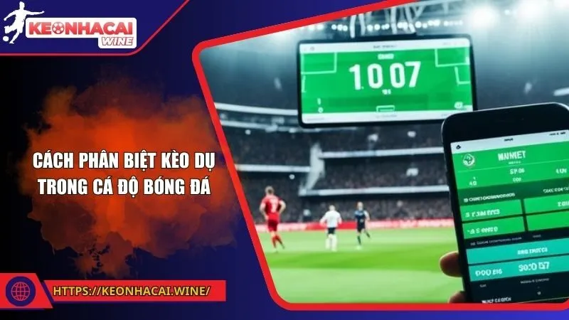 Cách phân biệt kèo dụ trong cá độ bóng đá