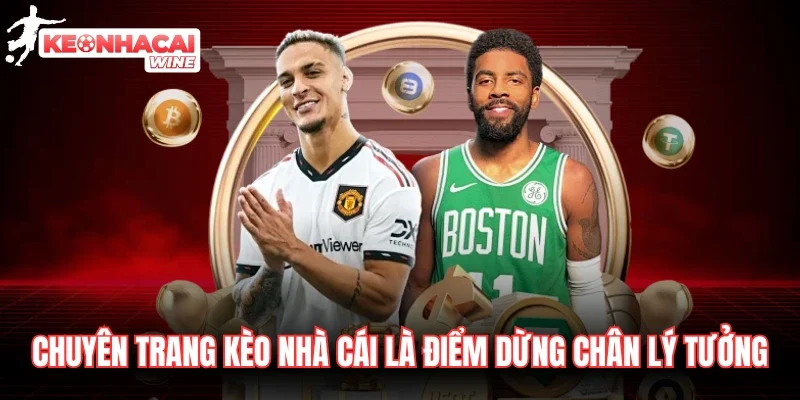 Chuyên trang là điểm dừng chân lý tưởng